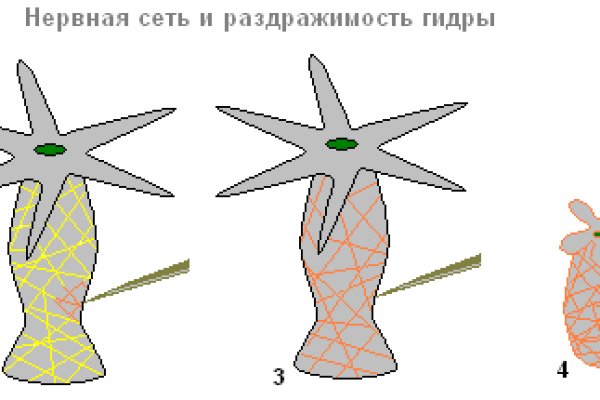 Зайти в кракен