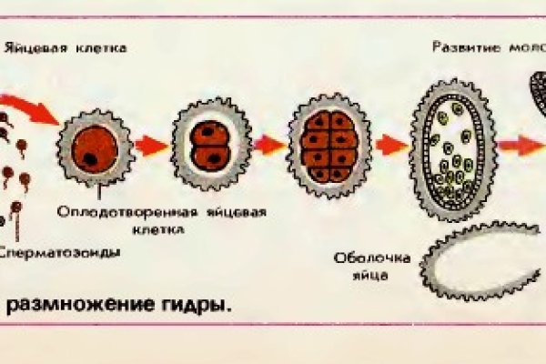 Кракен онион тор