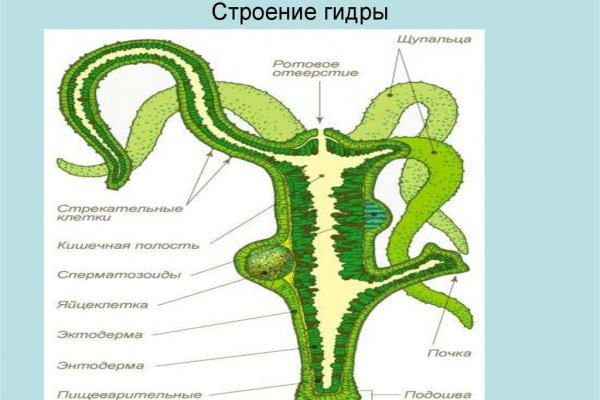 Наркосайт кракен