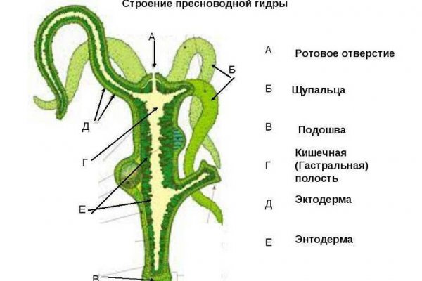 Кракен маркетплейс что